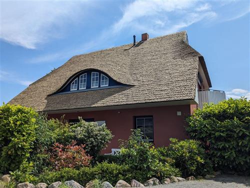 Ferielejlighed - 4 personer -  - Auf dem Ende - 18375 - Born