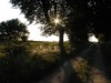 Billede 2