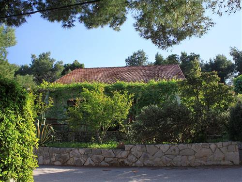 Holiday apartment - 5 persons -  - Uvala Mudri Dolac 406, Basina - 21462 - Vrbanj