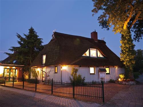 Ferienhaus - 5 Personen -  - Weststraße - 29640 - Schneverdingen