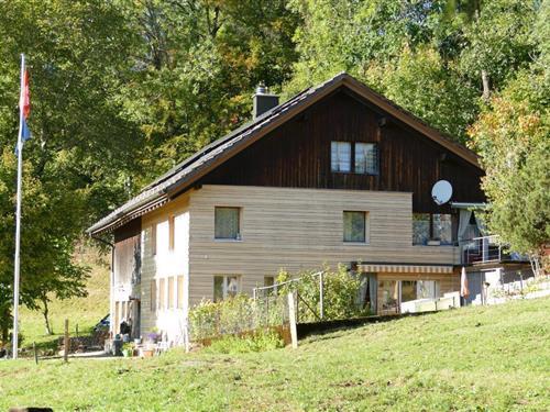 Sommerhus - 4 personer -  - Gfellstrasse - 8499 - Sternenberg