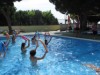 Billede 15