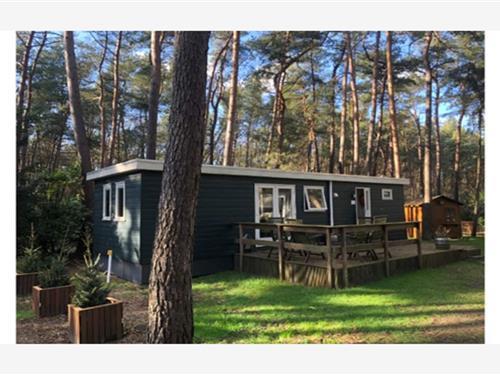 Chalet - 4 personer -  - 2275 - Wechelderzande (Lille)