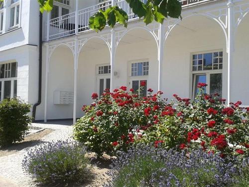 Sommerhus - 3 personer -  - 18609 - Binz