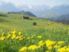 Bild 33