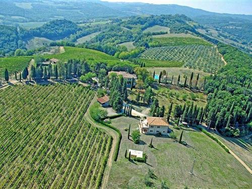 Ferienhaus - 4 Personen -  - 53037 - San Gimignano