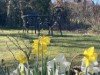 Bild 14