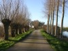 Bild 17