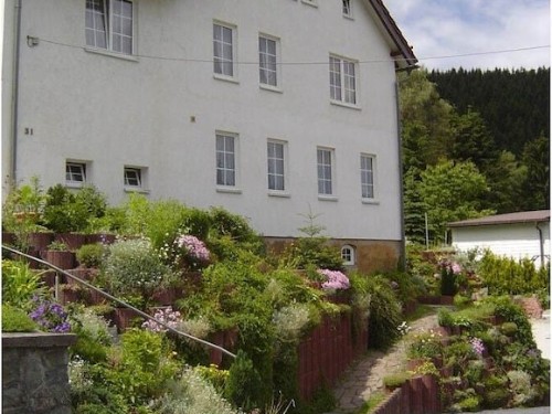 Ferienhaus - 4 Personen -  - 98746 - Katzhütte