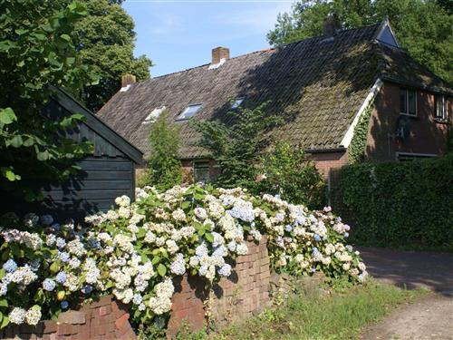 Holiday home - 12 persons -  - Diever - 7981AV