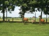 Bilde 4