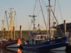 Bild 16