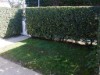 Image 16 - Outside