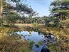 Bild 20 - Blick über's Wasser