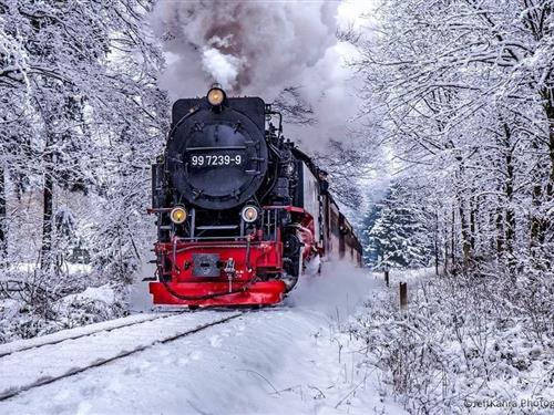 Ferieleilighet - 5 personer -  - Sandbrink - 38877 - Benneckenstein