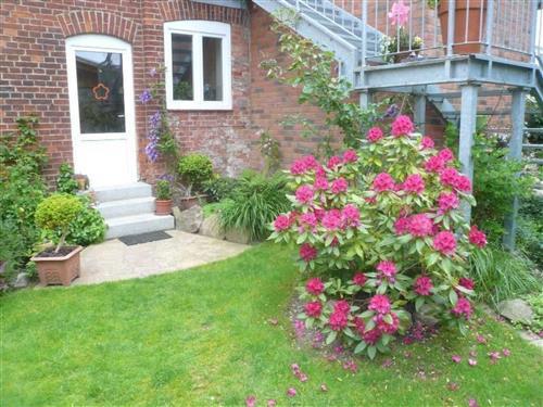 Ferienwohnung - 2 Personen -  - Dassow - 23942