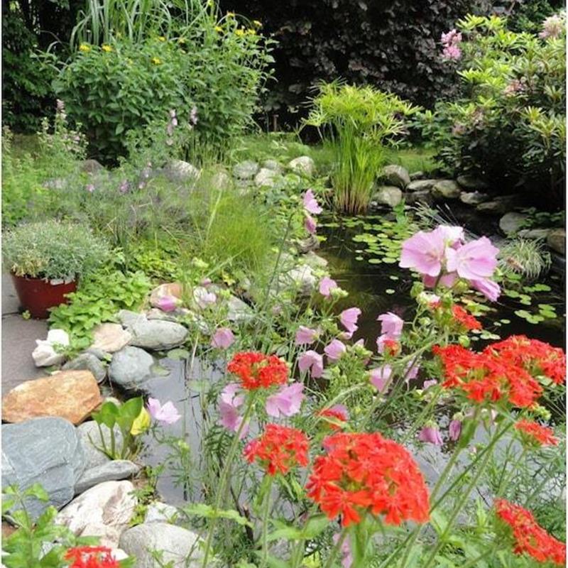 Sommerhus - 6 personer -  - 9871 - Seeboden