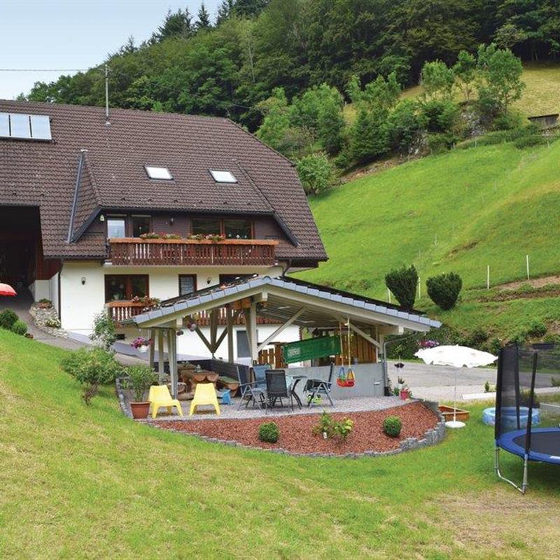 Ferielejlighed - 5 personer -  - Wilde Rench - Griesbach - 77740 - B. Peterstal-Griesbach