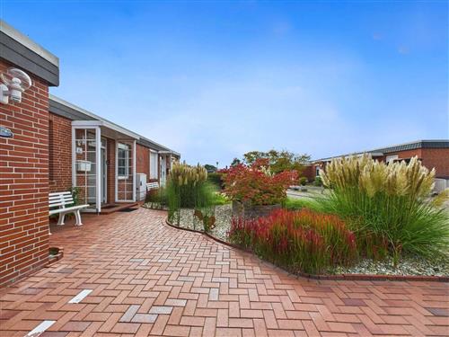 Bungalow - 4 personer -  - Schollenweg - 26553 - Dornum