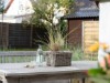 Bild 19