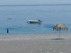 Bild 36 - Aussen