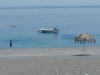 Bild 36 - Ude