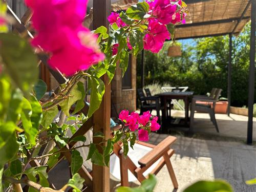 Ferienhaus - 5 Personen -  - Genari road - 27100 - Leventochori