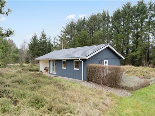 Ferienhaus - 6 Personen -  - Birkealle - Lodbjerg Hede / Søndervig - 6950 - Ringköbing