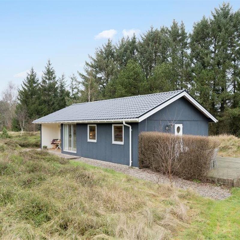 Ferienhaus - 6 Personen -  - Birkealle - Lodbjerg Hede / Søndervig - 6950 - Ringköbing