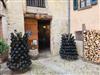 Image 38 - Outside