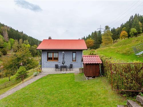 Feriehus / leilighet - 2 personer -  - 98667 - Langenbach