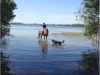Bild 17