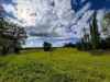 Billede 18