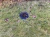 Bild 16