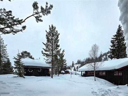 Feriehus - 7 personer -  - Sælidvegen - Seljord - 3840 - Flatdal