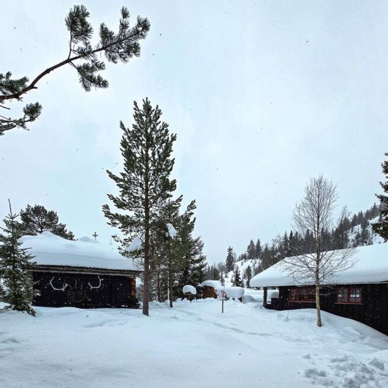 Sommerhus - 7 personer -  - Sælidvegen - Seljord - 3840 - Flatdal