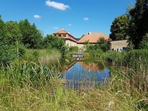 Ferieleilighet - 3 personer -  - Klosterstraße - 97654 - Bastheim