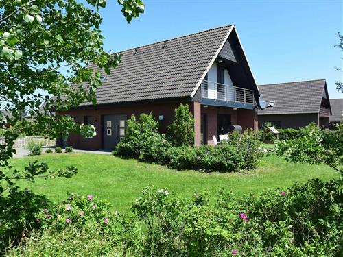 Ferienhaus - 8 Personen -  - Süderpiep - 25718 - Friedrichskoog / Spitze