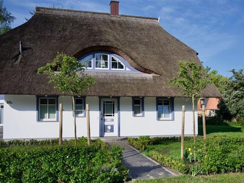 Sommerhus - 6 personer -  - Nordstrasse - 18375 - Born A. Darß