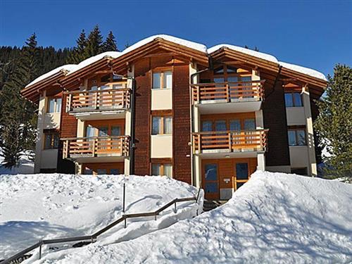 Holiday apartment - 4 persons -  - Untere Dorfstrasse Rottal - 3825 - Mürren