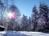 Bild 32