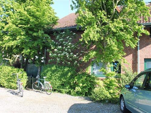 Holiday Home/Apartment - 4 persons -  - Haakestrasse - 23747 - Dahme