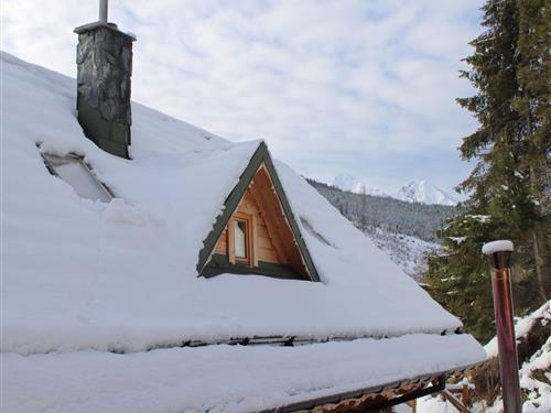 Holiday home - 12 persons -  - zdiar - 05955 - Zdiar