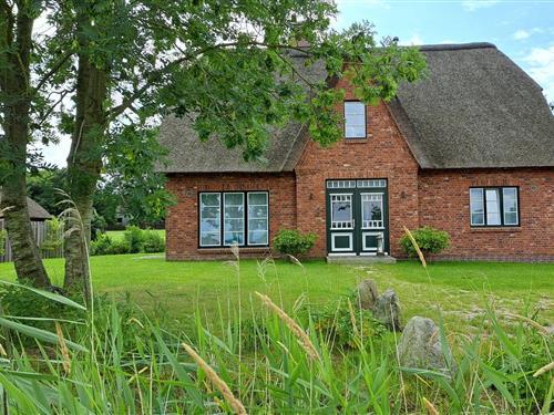 Feriehus - 4 personer -  - Schäferweg - 25832 - Tönning