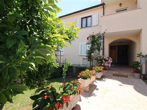 Holiday Home/Apartment - 2 persons -  - Rovinjska - 52440 - Porec