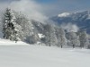 Bild 62