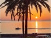 Bilde 26