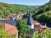 Bild 17