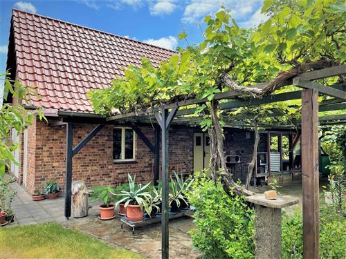 Holiday apartment - 4 persons -  - Dr.-Friedrichs-Straße - 02991 - Lauta - Laubusch