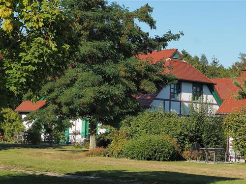 Ferienhaus - 4 Personen -  - 18556 - Dranske